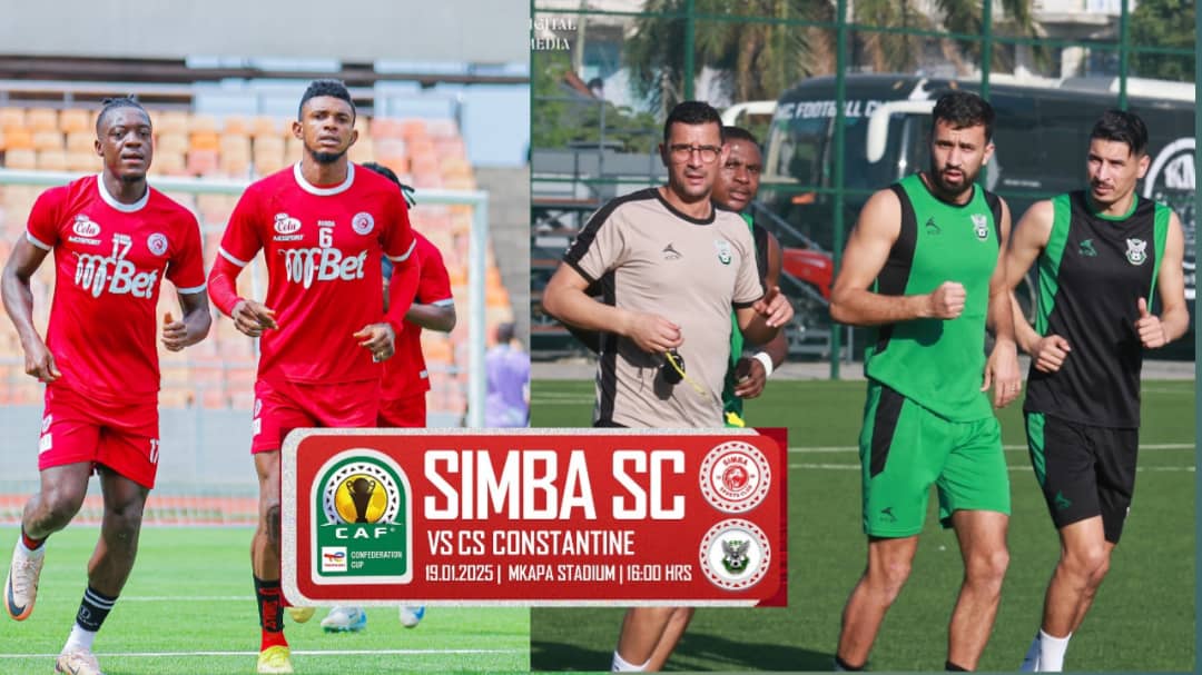 Simba Pict