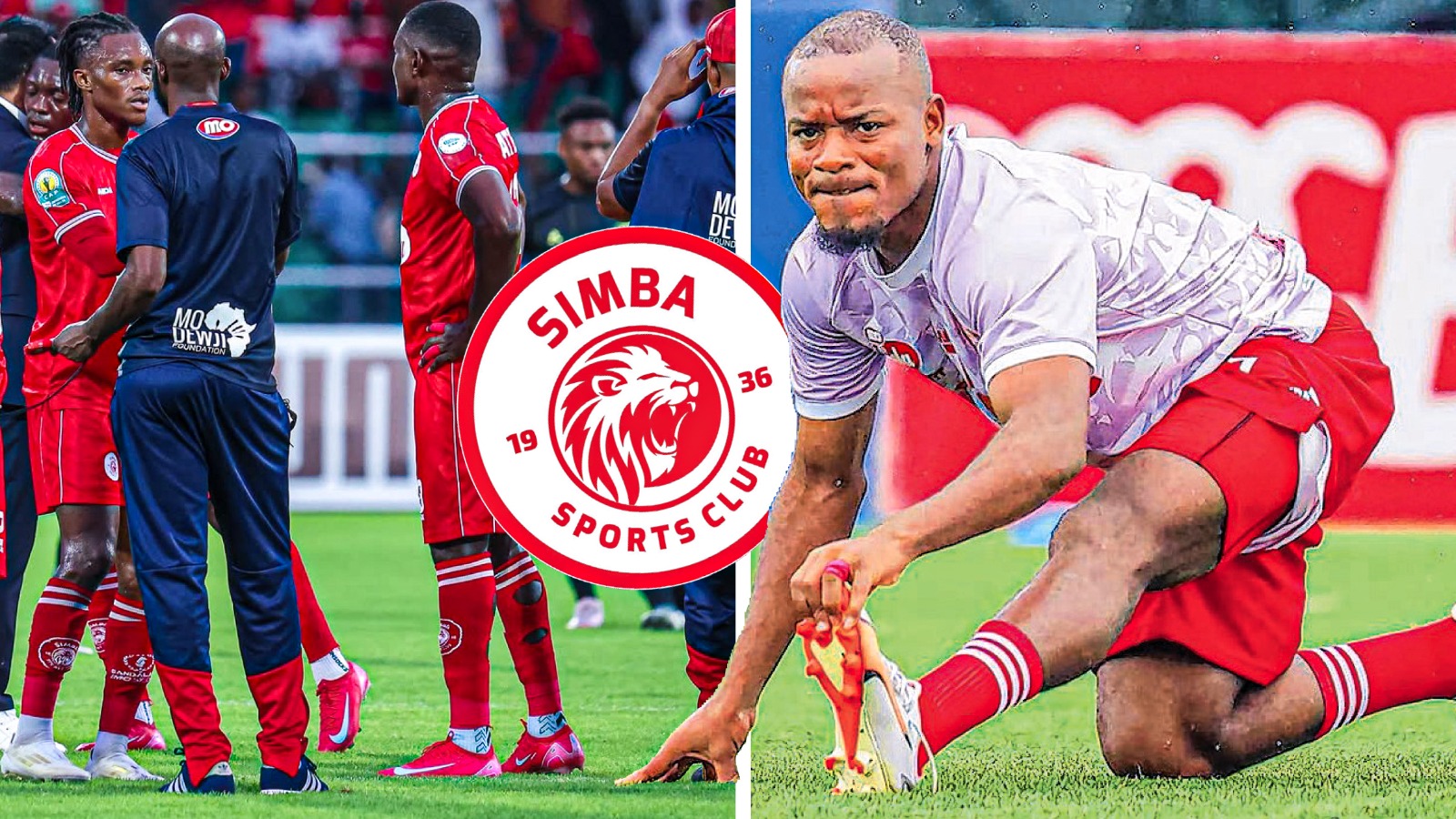 SIMBA Pict