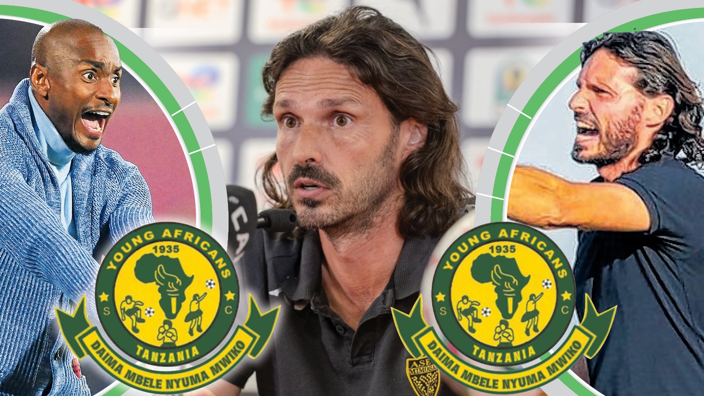 YANGA Pict