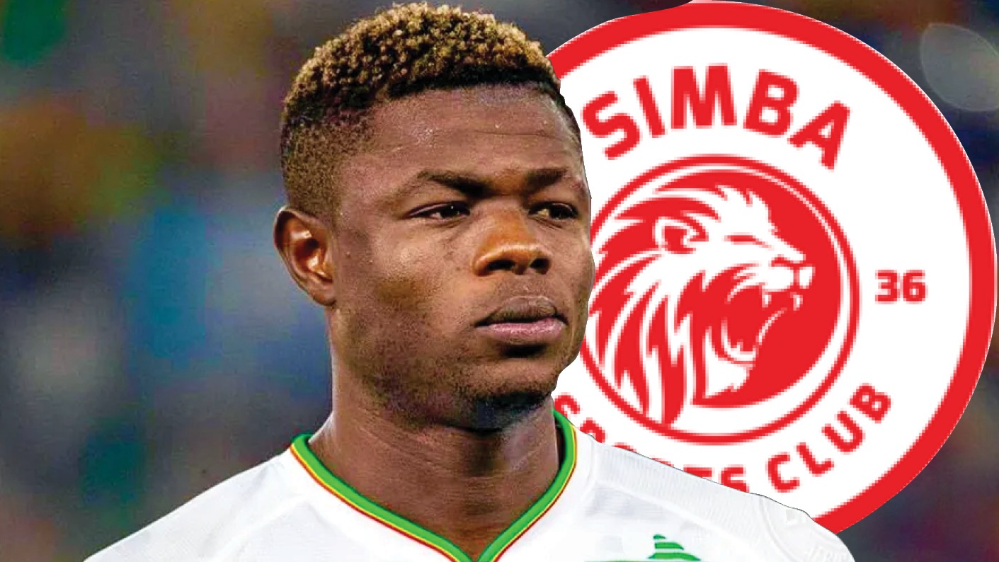 SIMBA Pict