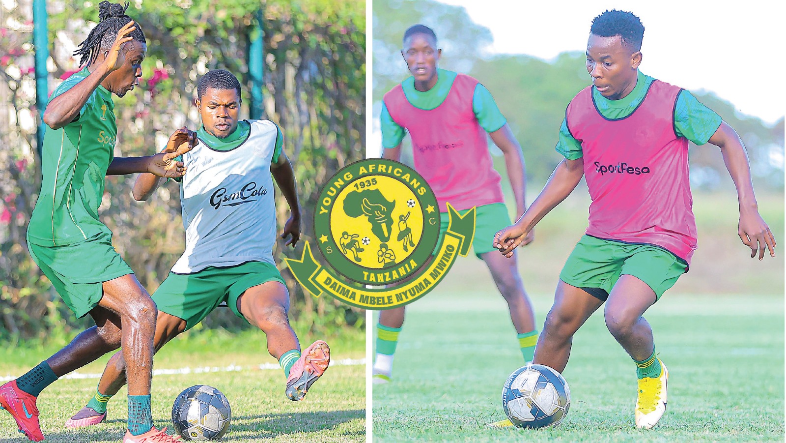 YANGA Pict