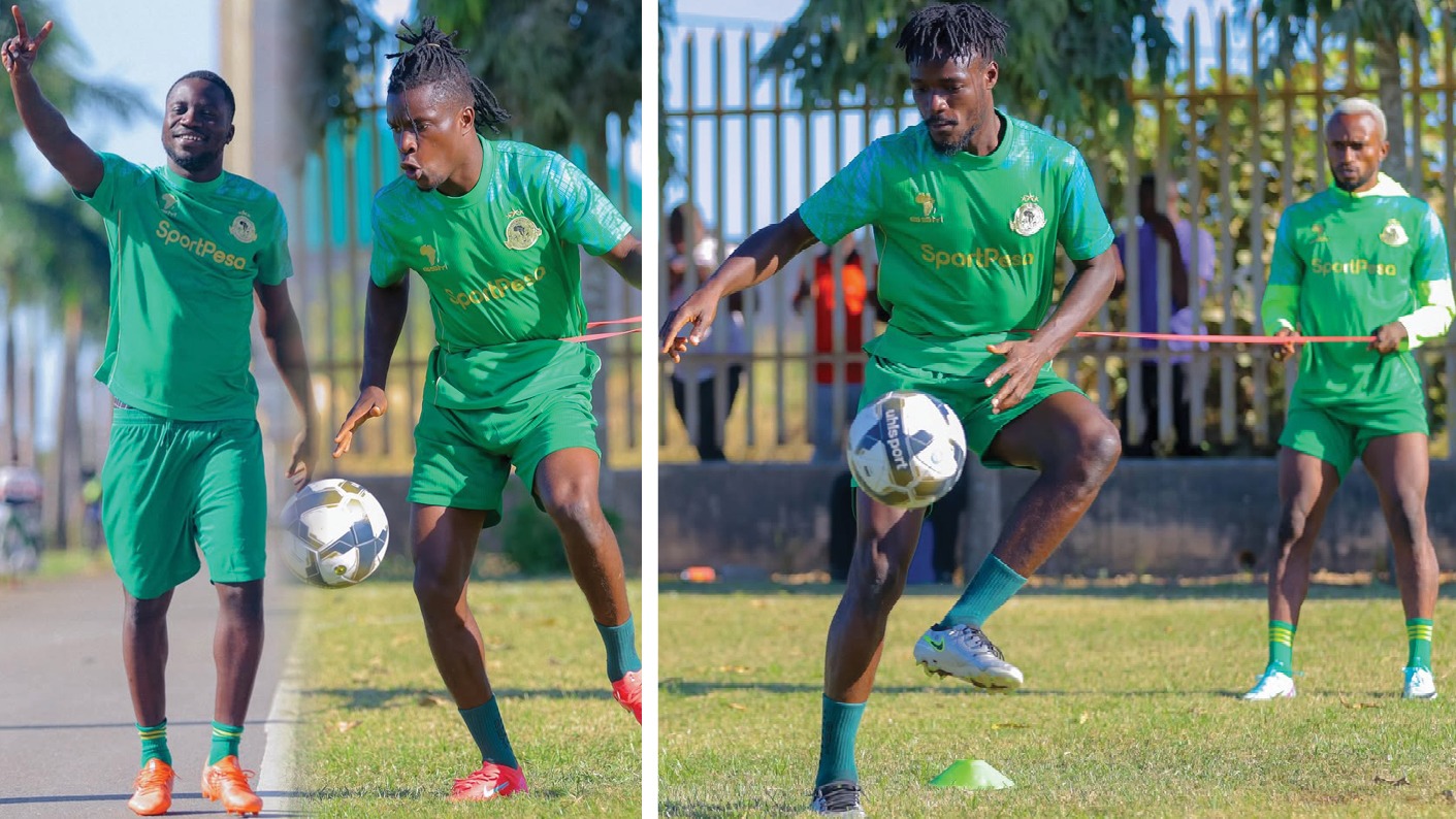 YANGA Pict