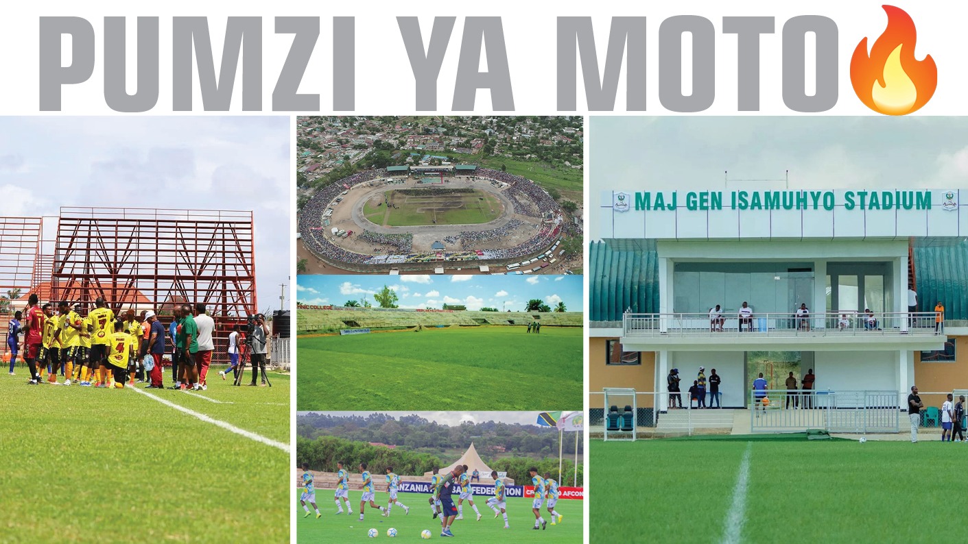 PUMZI Pict