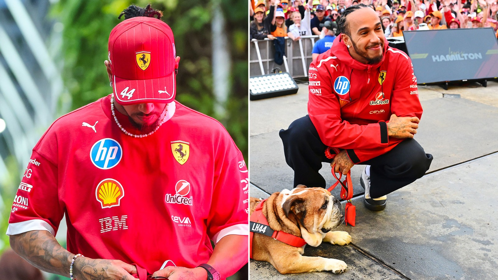 HAMILTON Pict
