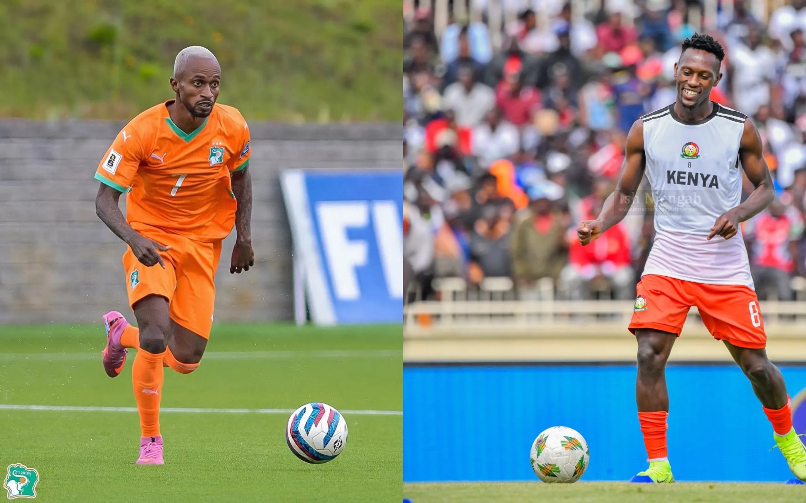HARAMBEE Pict