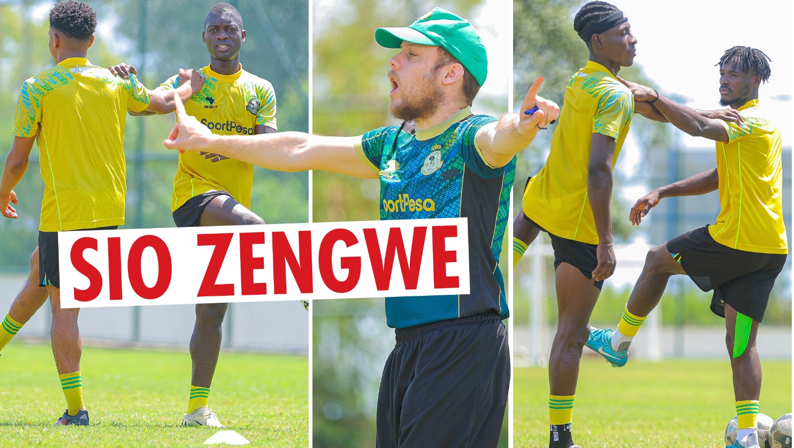 ZENGWE Pict