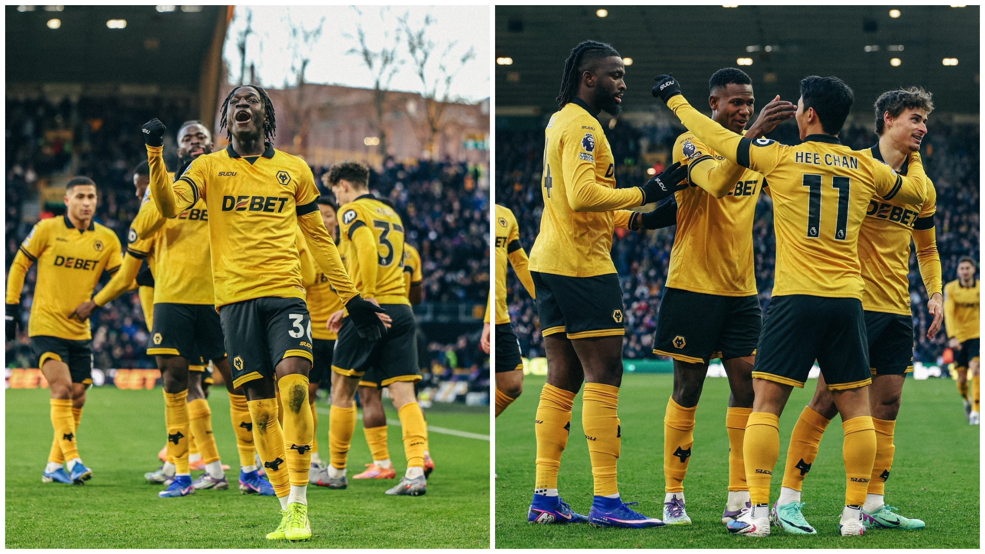 WOLVES Pict