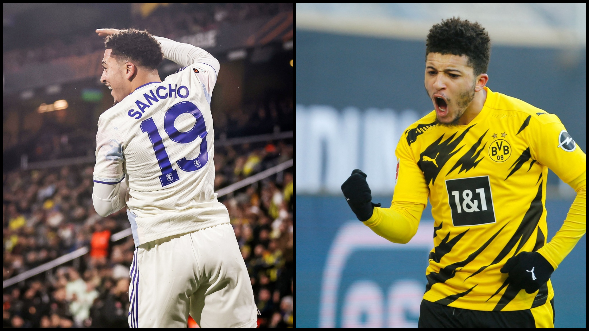 SANCHO Pict