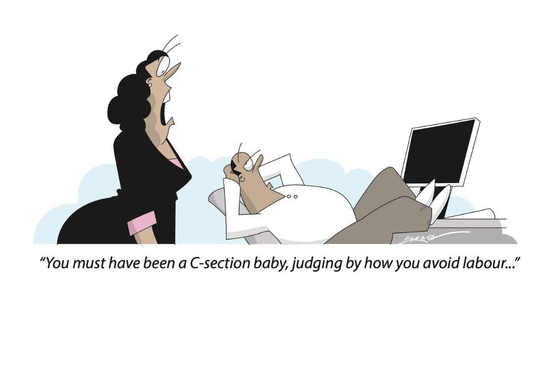 BD-Toon-29Apr-2026