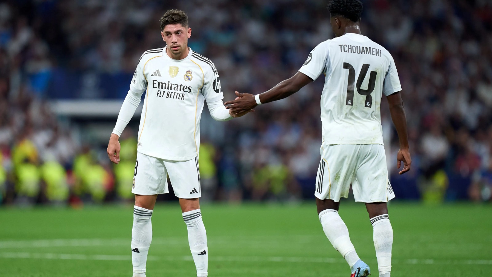 MADRI 03