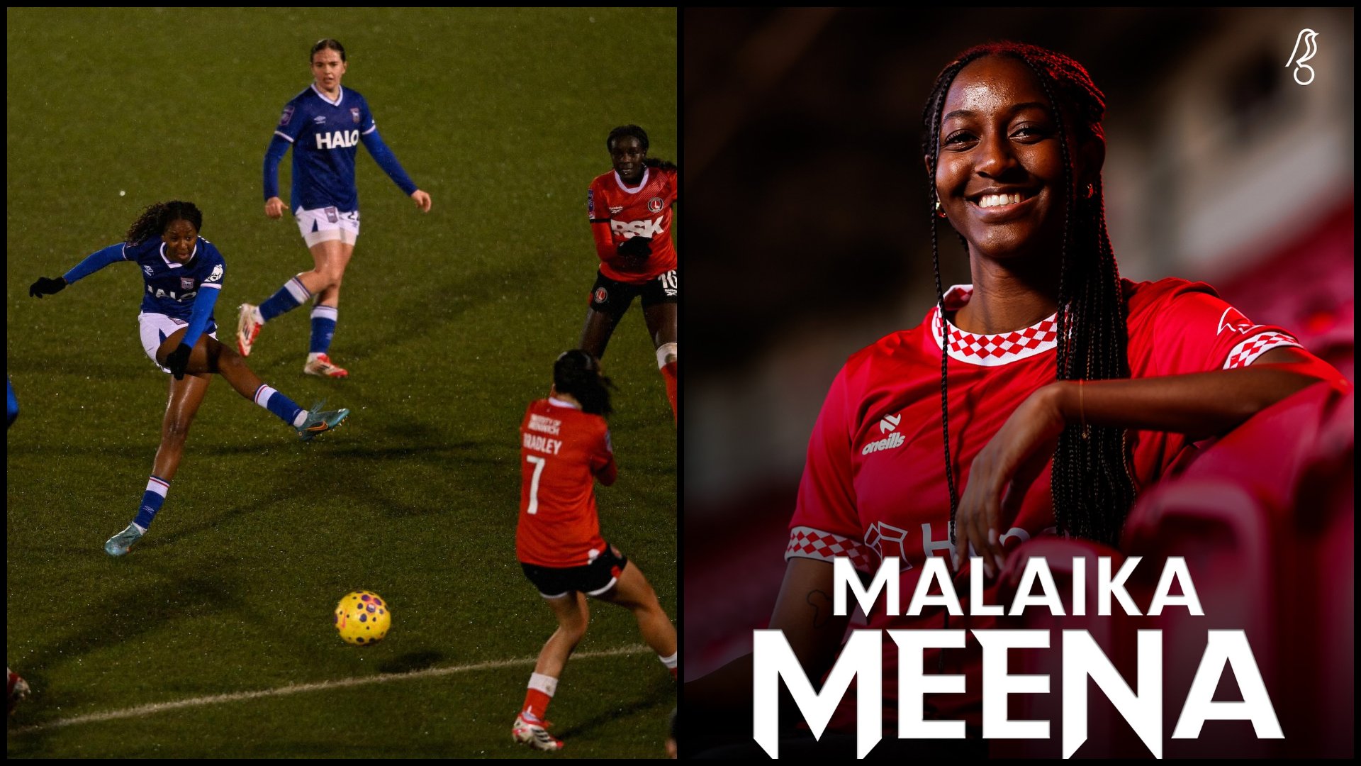 MALAIKA Pict