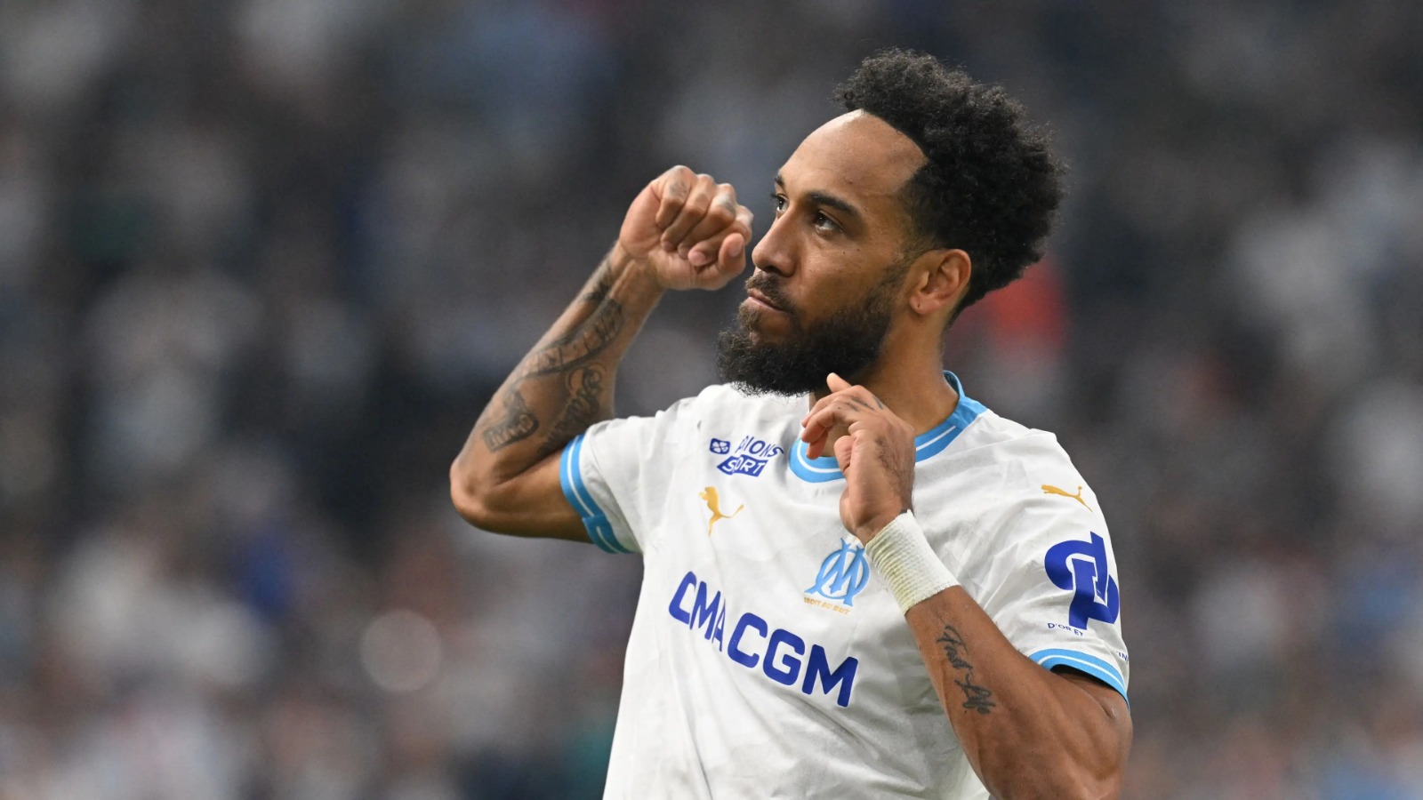 AUBA Pict
