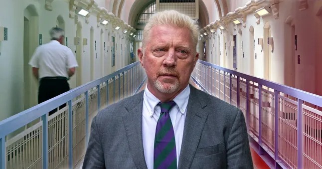 BORIS Pict