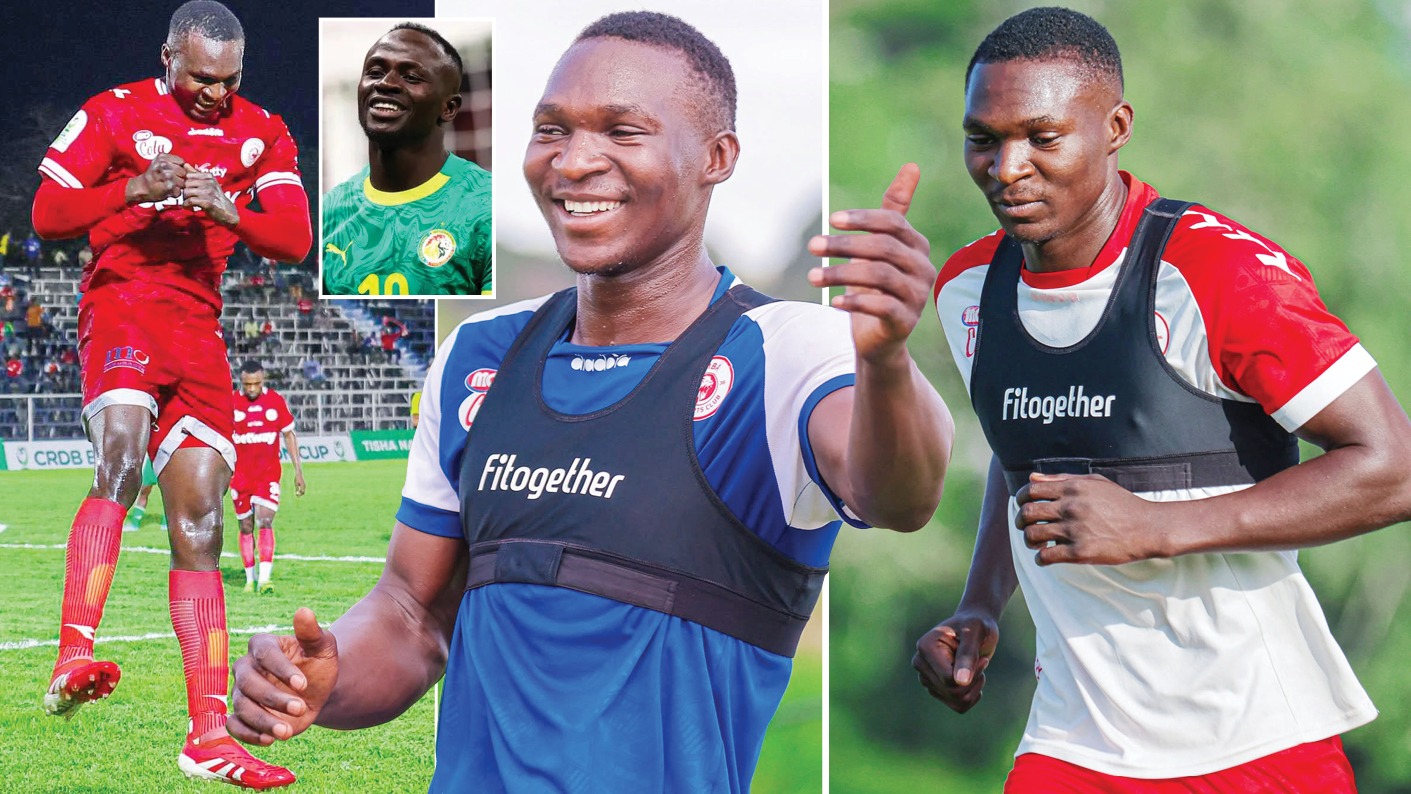 MWANGOSI Pict