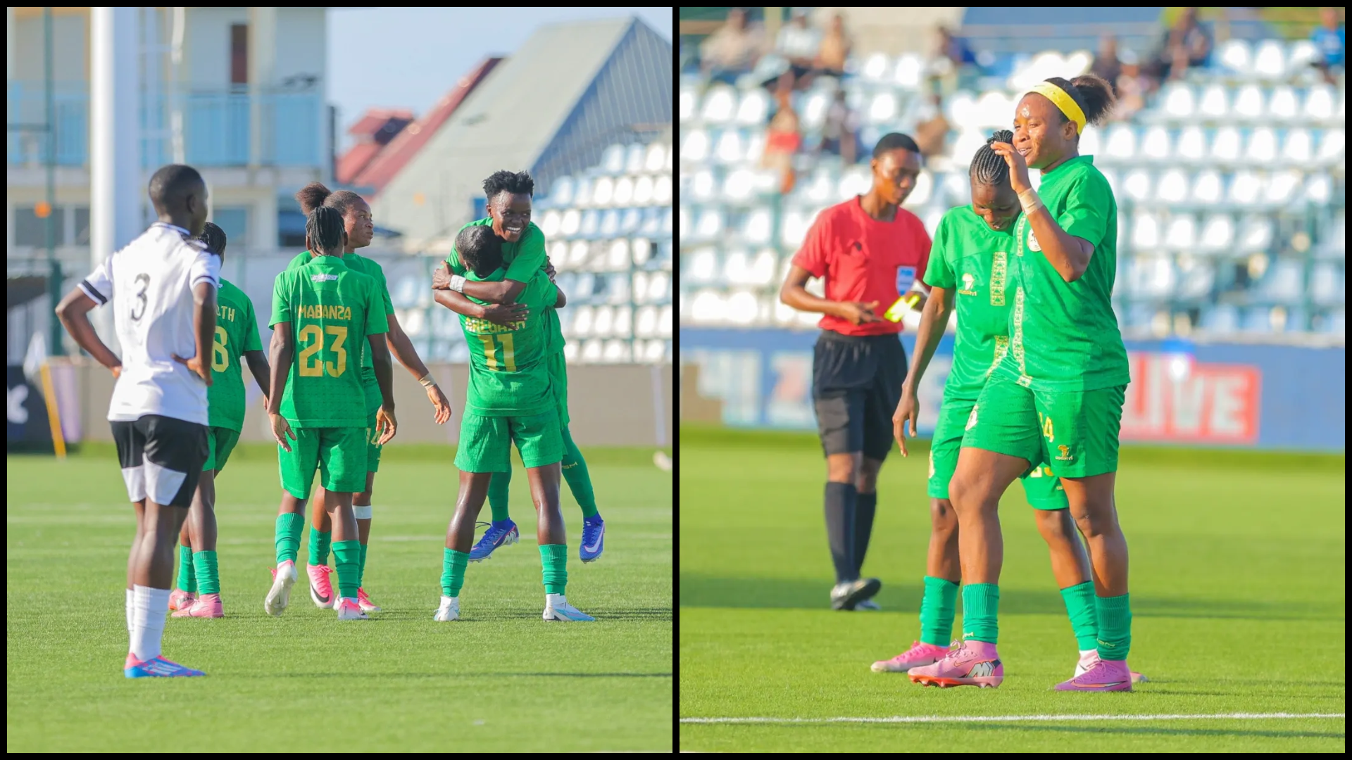 YANGA Pict