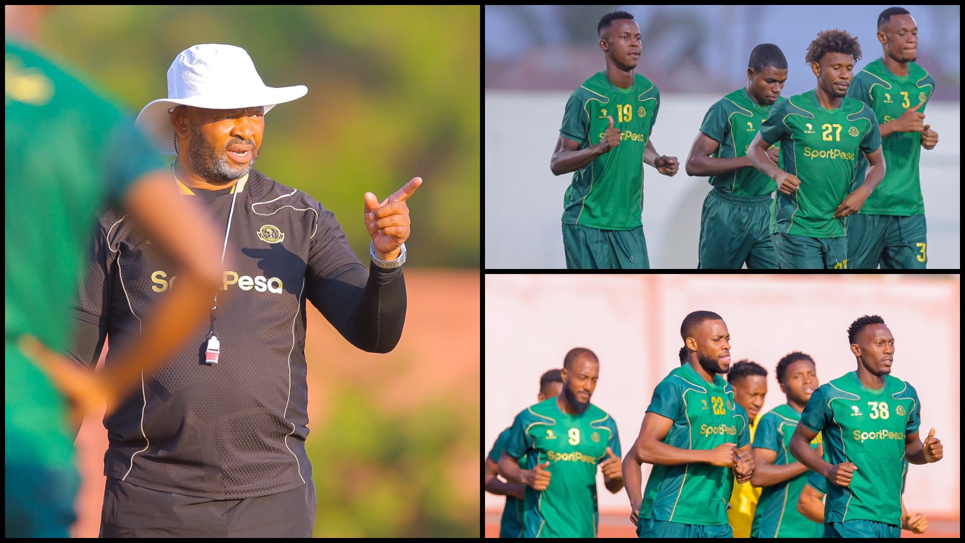 YANGA Pict