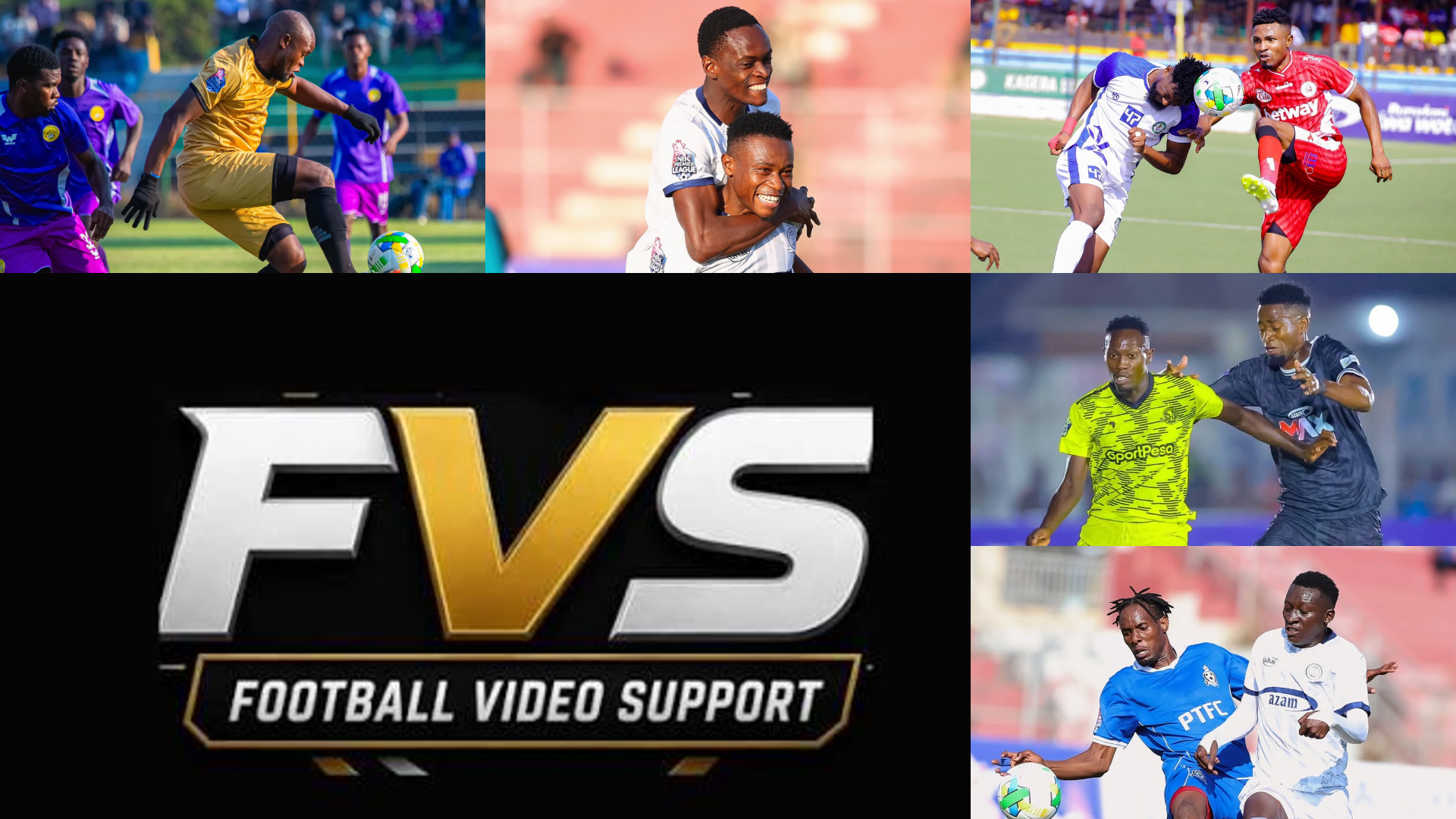 FVS Pict