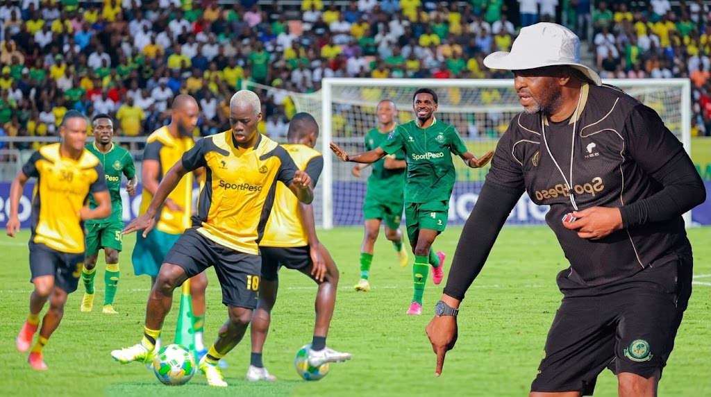 YANGA Pict