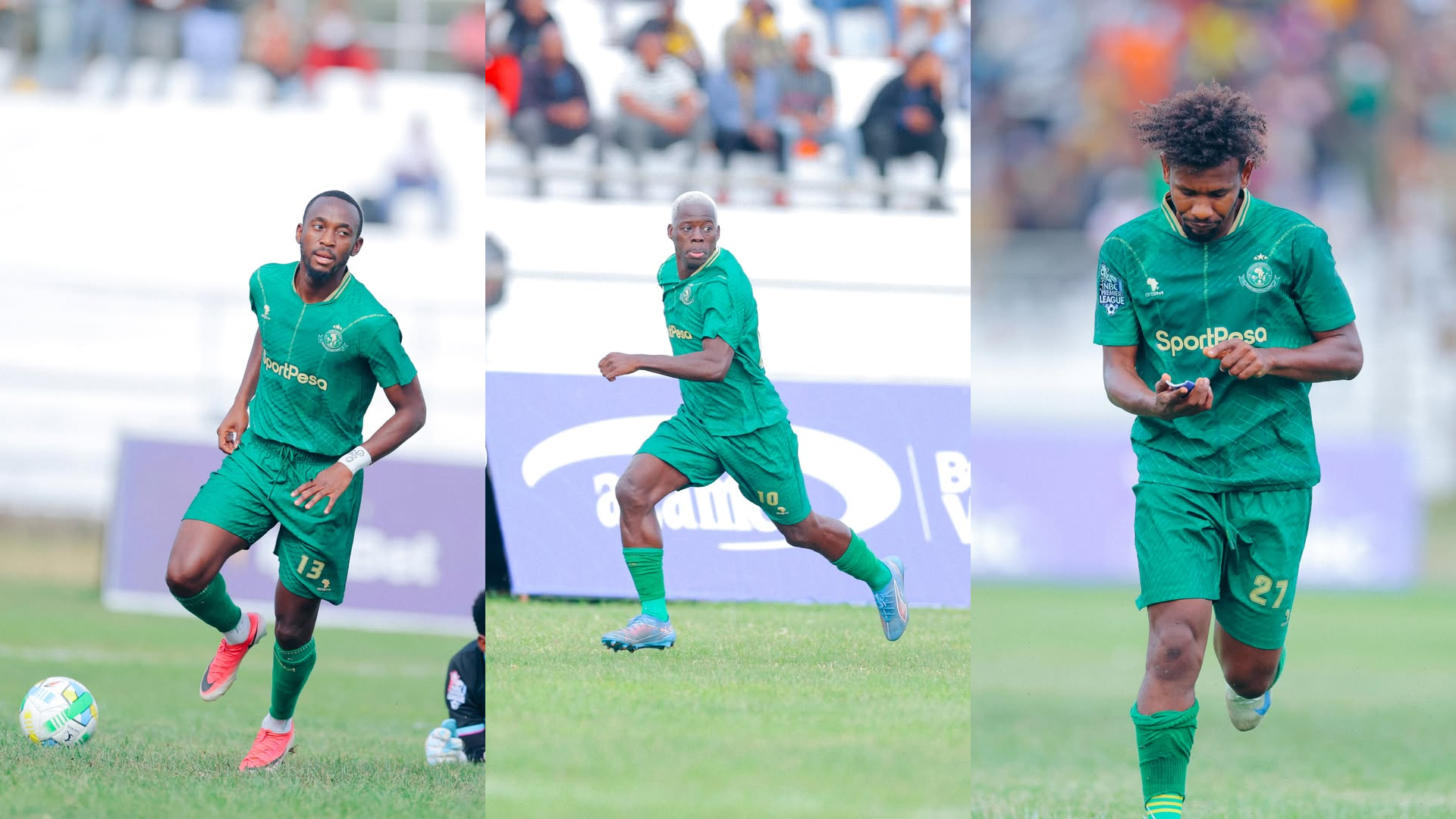 YANGA Pict