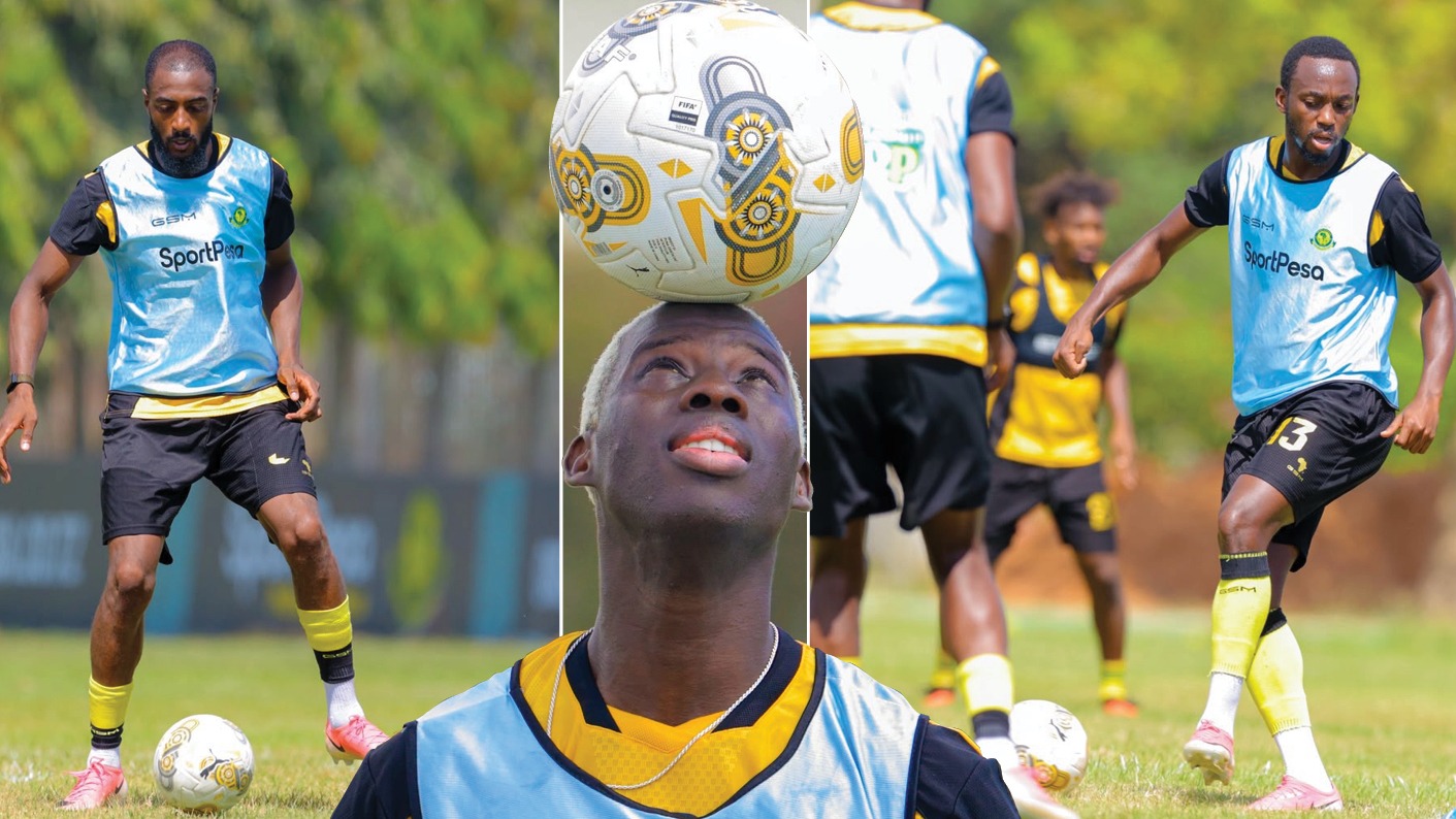 YANGA Pict