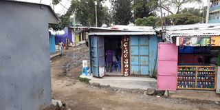 naivasha1