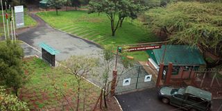 MichukiPark