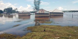 FLOOD-1112