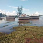 FLOOD-1112