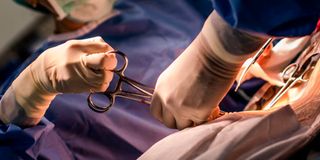 CSection