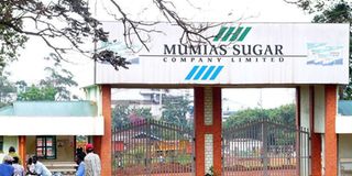 mumias