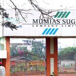 mumias