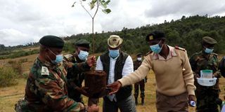 ForestPlanting2301um