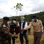 ForestPlanting2301um