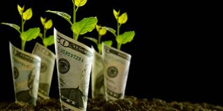 DOLLAR-GROWTH