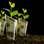 DOLLAR-GROWTH