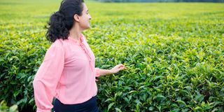 MuthaigaTea1