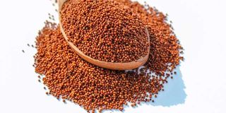 millet