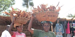 farm-women