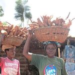 farm-women