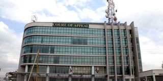 court-appeal