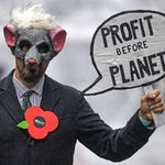 profit