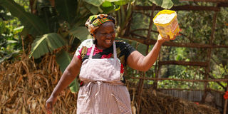Farmer 2