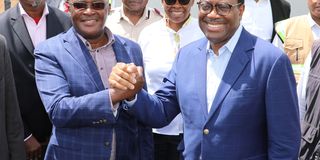 macharia-adesina