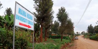 Mama Ngina University