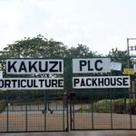 kakuzi1