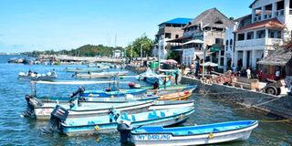 lamu-por!