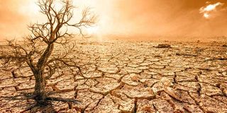 climate