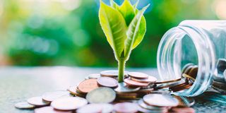 Green Economy