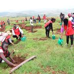 Habitat lovers