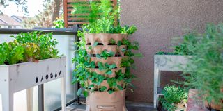 BDGarden